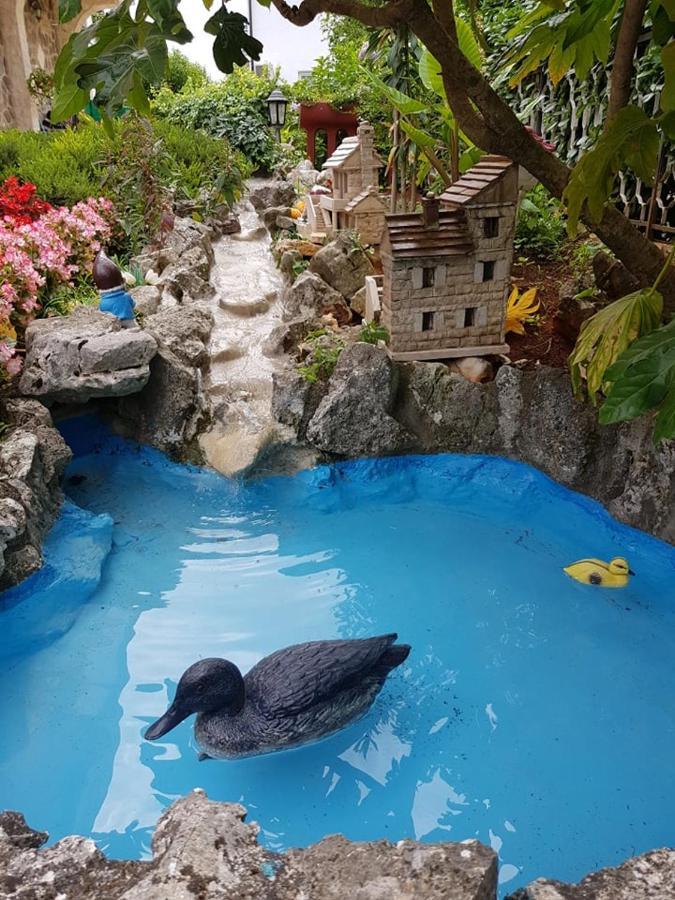 Villa Diana Apartments Poreč Dış mekan fotoğraf